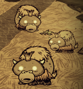 Baby, Toddler, and Teen Beefalo.