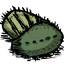 Cacti Flesh