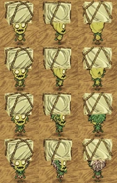 Wormwood wearing an Ice Cube.