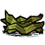 Kelp Fronds.png