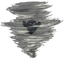 Sealnado