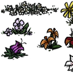 Flower Don T Starve Wiki Fandom