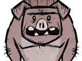 Pig