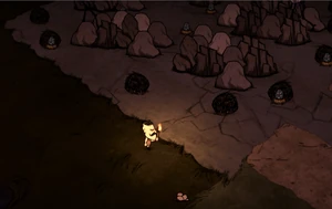 眠るトールバードたち