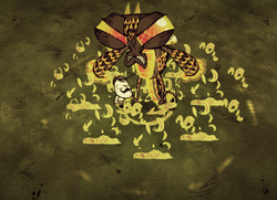 Dragonfly, Don't Starve Wiki