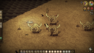 Os humores dados ao beefalo na Atualização Mounting DST