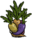 Giant Carrots.png