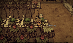 Farm Don T Starve Wiki Fandom Farm Don T Starve Wiki Fandom