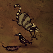 A Catcoon pouncing on a bird.