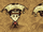 Olhombrinha (Eyebrella)