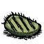 Cooked Cactus Flesh.png