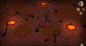 夕方の巣の様子。