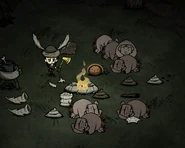Sleeping Pigs.png (285キロバイト) Pigs sleeping around a fire; one is awake and looks frightened.