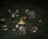 Sleeping Pigs.png (285 kB) Cerdos durmiendo alrededor del fuego, uno esta despierto y tiene apariencia de asustado.