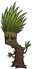 Arbol de Jungla Regular