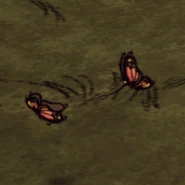 正在飛行的蝴蝶。