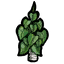 Philodendron Plantholder