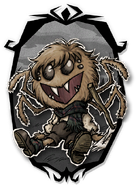 Webber Farmspider Portrait