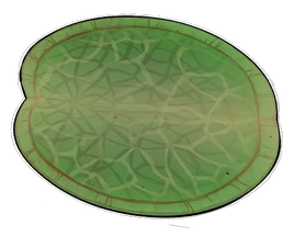 Lily Pad