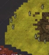 Mossy Turf as seen on the Map.