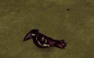 Sleeping Crow.png (48 KB) A Crow sleeping.