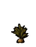 The Carrat's uprooting animation.