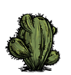 Oasis Cactus.png