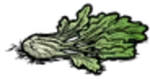 Fennel item.png (133 KB)