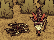 GobblerTrap.png (114 KB) Tooth Traps set up to hunt Gobblers.