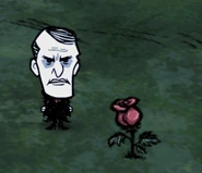 Rose.png (94 KB) Maxwell next to a Rose