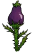 Eggplant Stalk