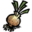 Onion.png