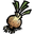 Onion.png