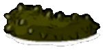 Seacucumber on water.gif (956 KB)