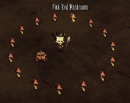 A Red Mushroom Fairy Ring