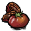 Toma Roots.png