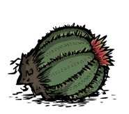 Unused dug up Cactus sprite.