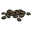 Cooked Coffee Beans.png