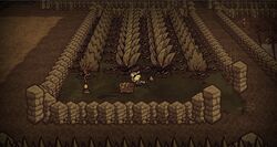 Farming Don T Starve Wiki Fandom Farming Don T Starve Wiki Fandom