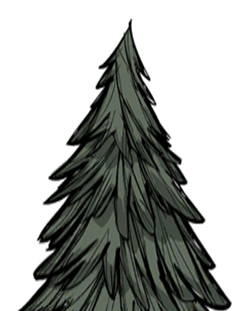 树 常青树 Don T Starve 中文維基 Fandom 树 常青树 Don T Starve 中文維基 Fandom