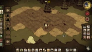 A Mosaic biome in earlier versions of Don't Starve.