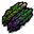 Asparaguses.png
