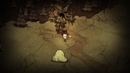 Don't Starve Gallery Treeguard