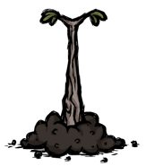 Twiggy Tree Sapling.