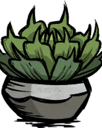 Potted Succulent Don T Starve Æ»ç¥ Wiki Fandom