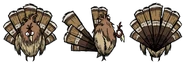 Gobbler from all sides.