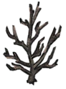 The Screecher Sapling.png (260 KB) unused sapling