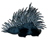 Platapine Dead.png (204 KB) A dead Platapine.