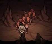 WarriorMant.png (140 KB) Wickerbottom followed by 3 Warrior Mants.