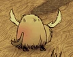 In-heat Beefalo have red rears.